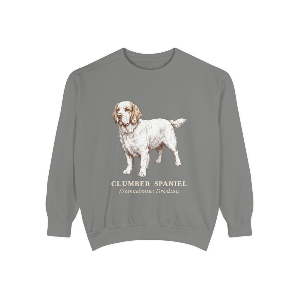 Clumber Spaniel Latin Sweatshirt, Grey, front view