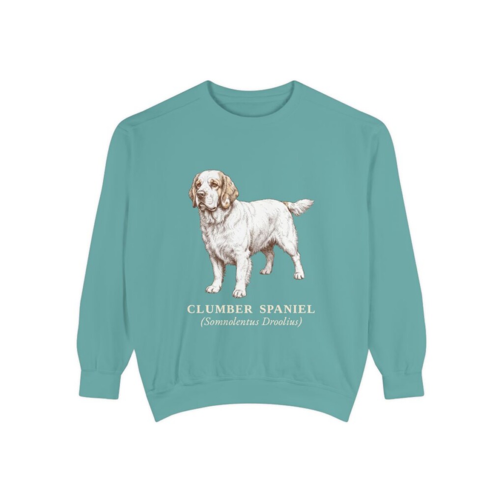 Clumber Spaniel Latin Sweatshirt, Seafoam, front view