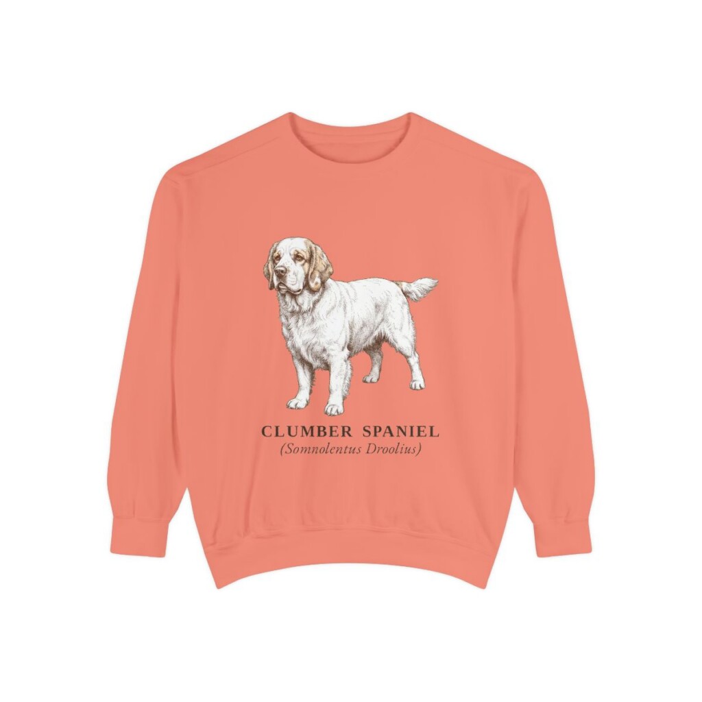 Clumber Spaniel Latin Sweatshirt, Terracotta, front view