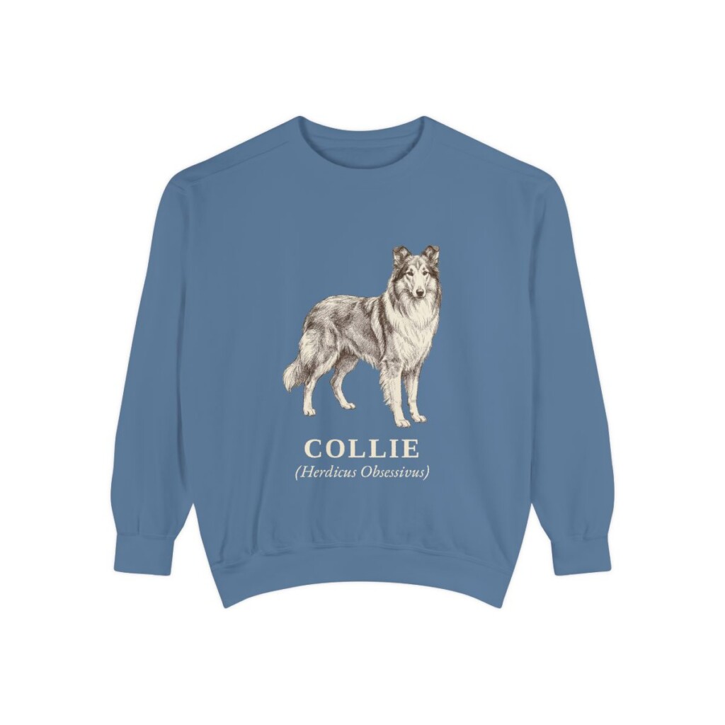 collie-sweatshirt-latin-blue-jean Collie Latin Sweatshirt, Blue Jean, front view