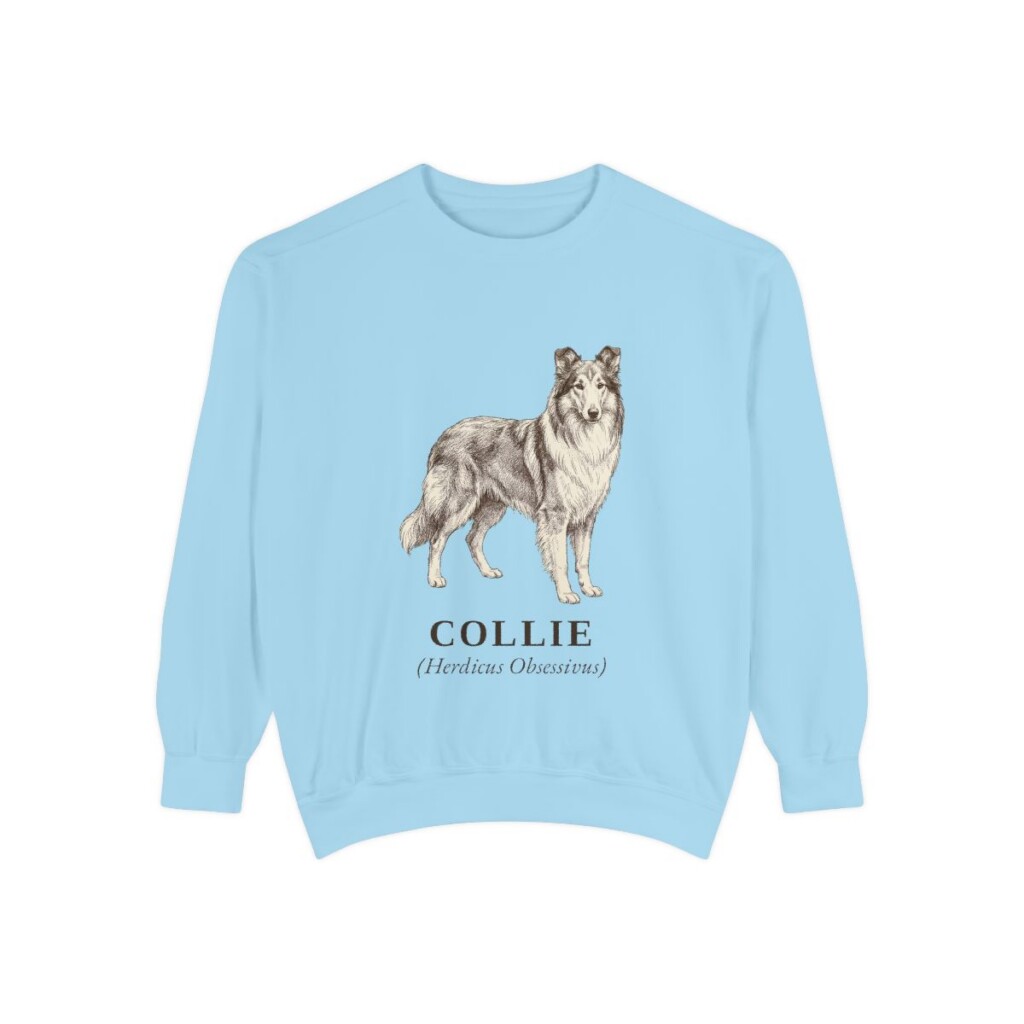 collie-sweatshirt-latin-chambray Collie Latin Sweatshirt, Chambray, front view