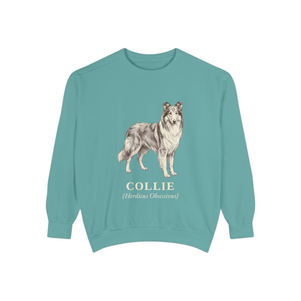 collie-sweatshirt-latin-seafoam Collie Latin Sweatshirt, Seafoam, front view