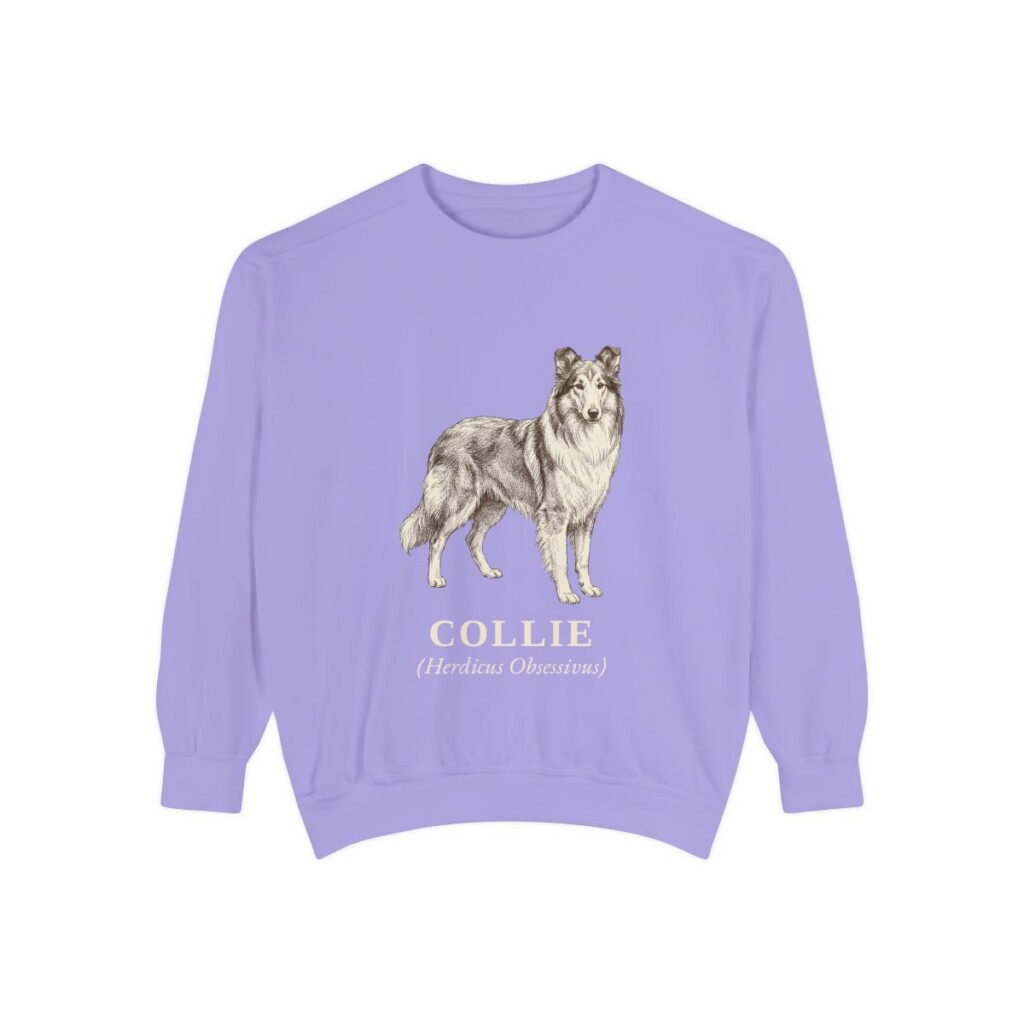 collie-sweatshirt-latin-violet Collie Latin Sweatshirt, Violet, front view