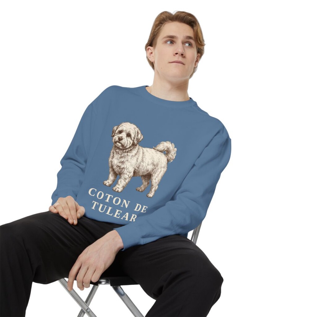 Coton de Tulear Sweatshirt, Blue Jean, person 1 context