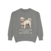 Coton de Tulear Humor Sweatshirt, Grey, front view