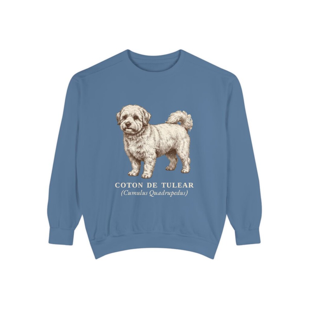 coton-de-tulear-sweatshirt-latin-blue-jean Coton de Tulear Latin Sweatshirt, Blue Jean, front view