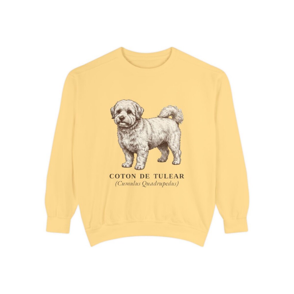 coton-de-tulear-sweatshirt-latin-butter Coton de Tulear Latin Sweatshirt, Butter, front view