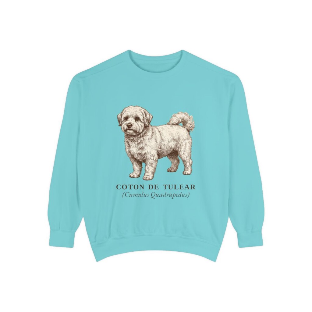 coton-de-tulear-sweatshirt-latin-chalky-mint Coton de Tulear Latin Sweatshirt, Chalky Mint, front view