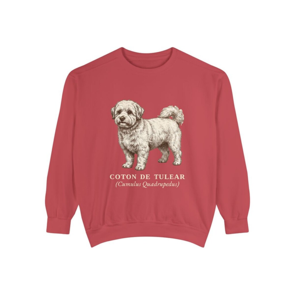 coton-de-tulear-sweatshirt-latin-crimson Coton de Tulear Latin Sweatshirt, Crimson, front view