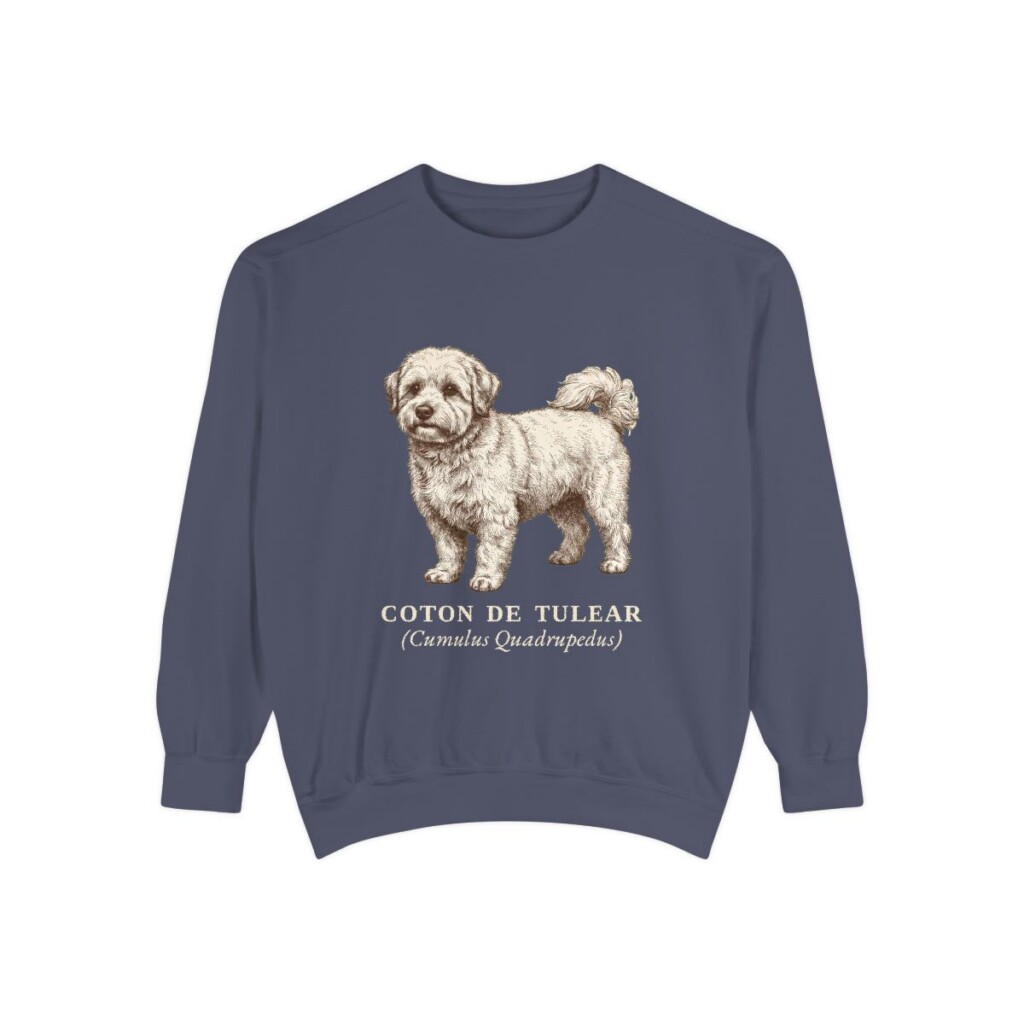coton-de-tulear-sweatshirt-latin-denim Coton de Tulear Latin Sweatshirt, Denim, front view