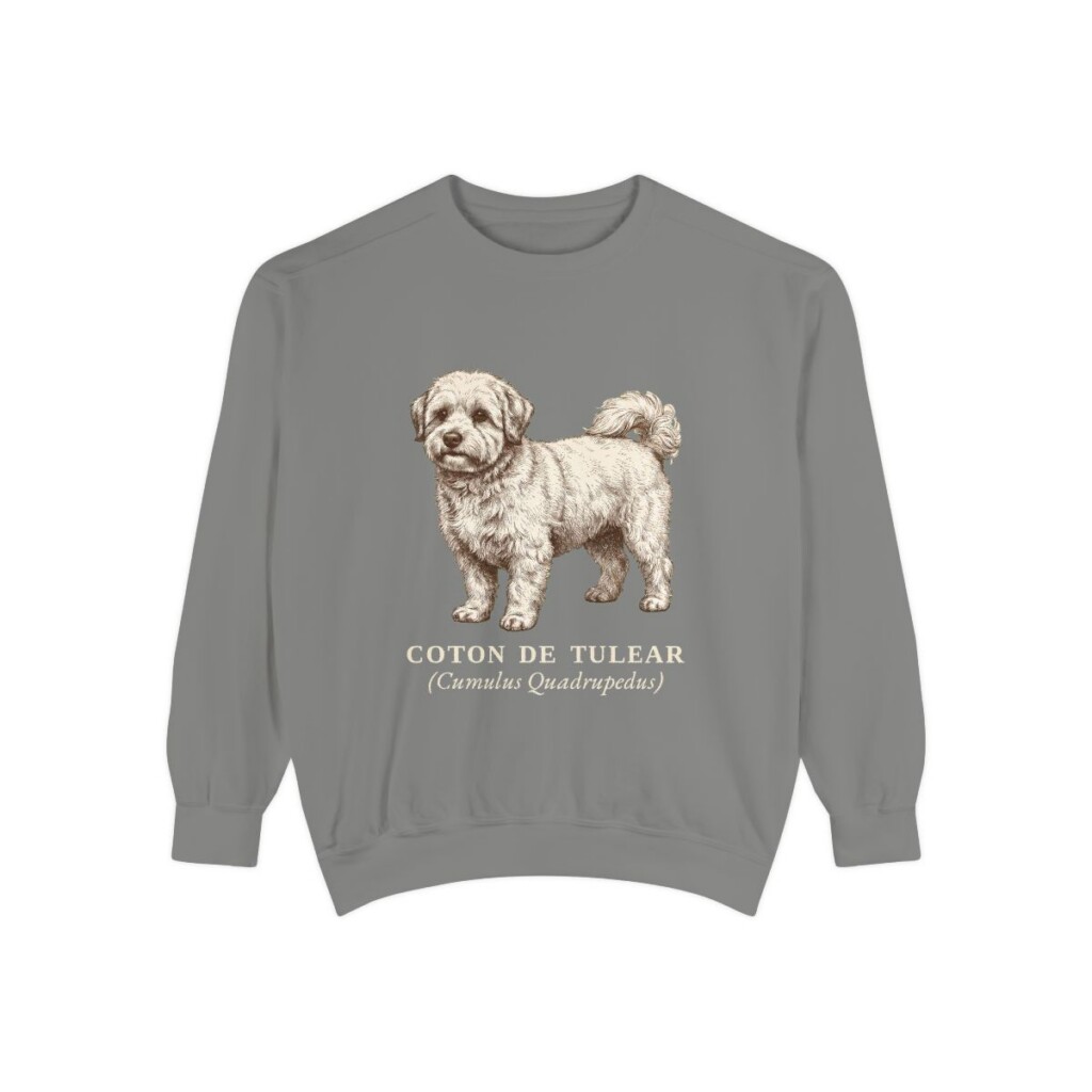 coton-de-tulear-sweatshirt-latin-grey Coton de Tulear Latin Sweatshirt, Grey, front view