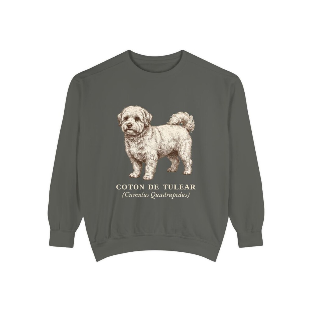 coton-de-tulear-sweatshirt-latin-pepper Coton de Tulear Latin Sweatshirt, Pepper, front view