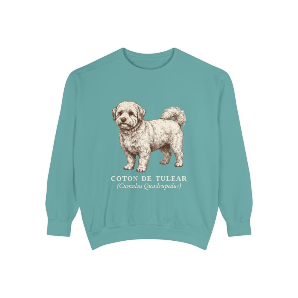 coton-de-tulear-sweatshirt-latin-seafoam Coton de Tulear Latin Sweatshirt, Seafoam, front view