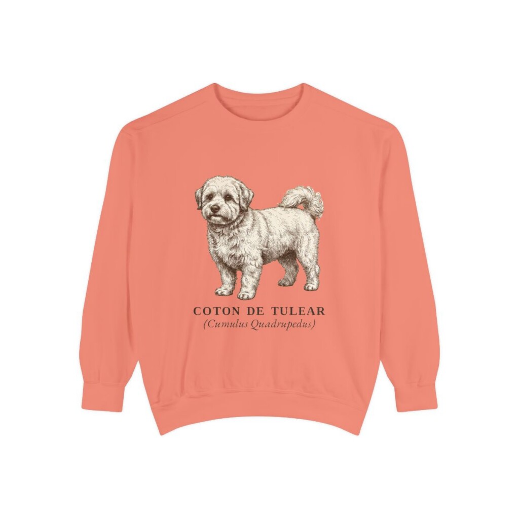 coton-de-tulear-sweatshirt-latin-terracotta Coton de Tulear Latin Sweatshirt, Terracotta, front view