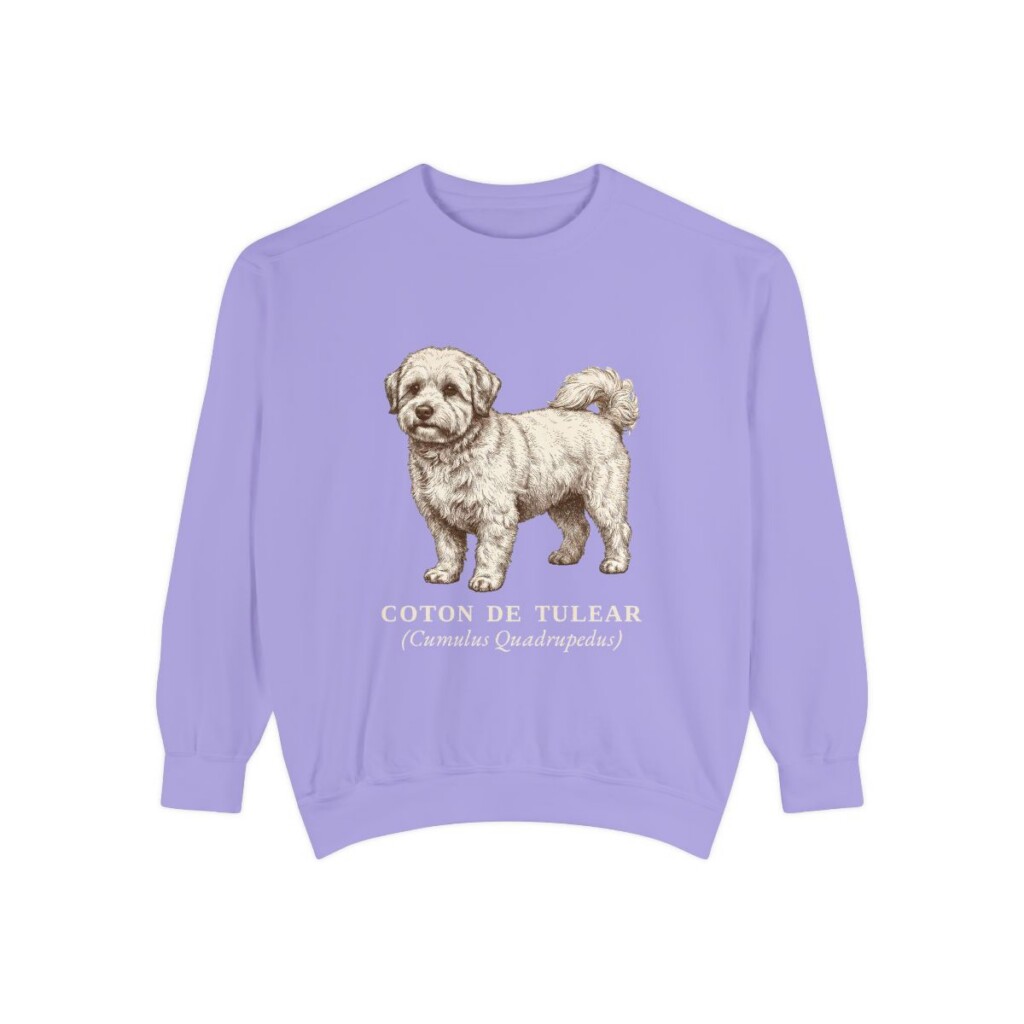 coton-de-tulear-sweatshirt-latin-violet Coton de Tulear Latin Sweatshirt, Violet, front view