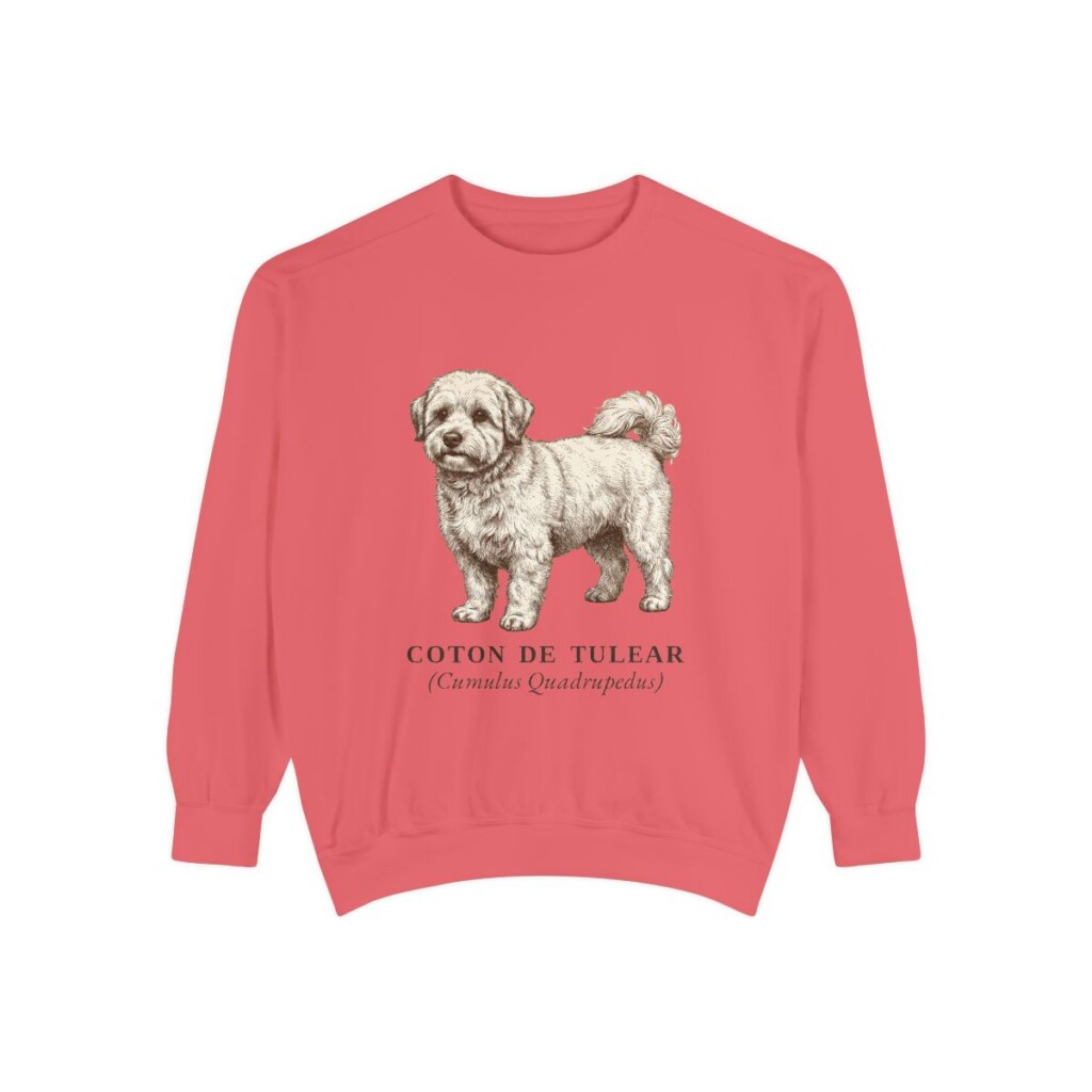coton-de-tulear-sweatshirt-latin-watermelon Coton de Tulear Latin Sweatshirt, Watermelon, front view