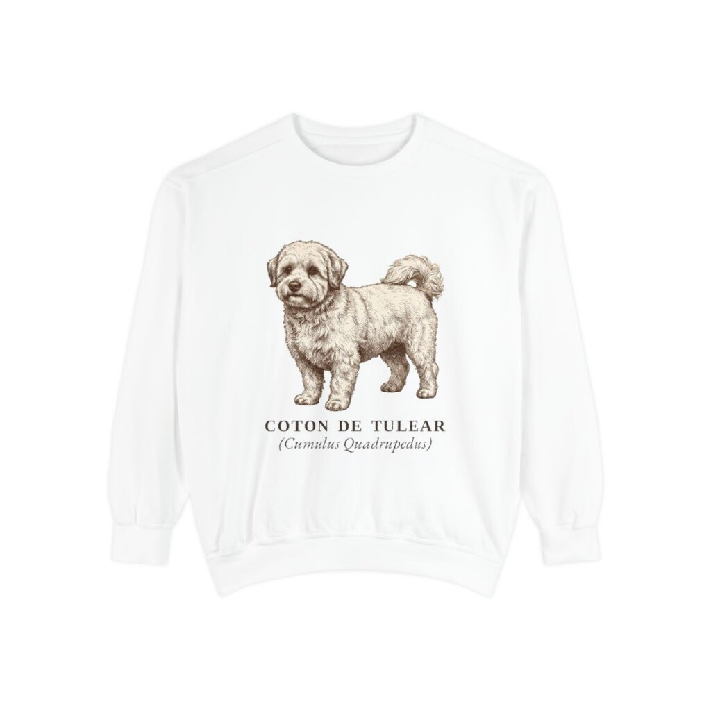 coton-de-tulear-sweatshirt-latin-white Coton de Tulear Latin Sweatshirt, White, front view