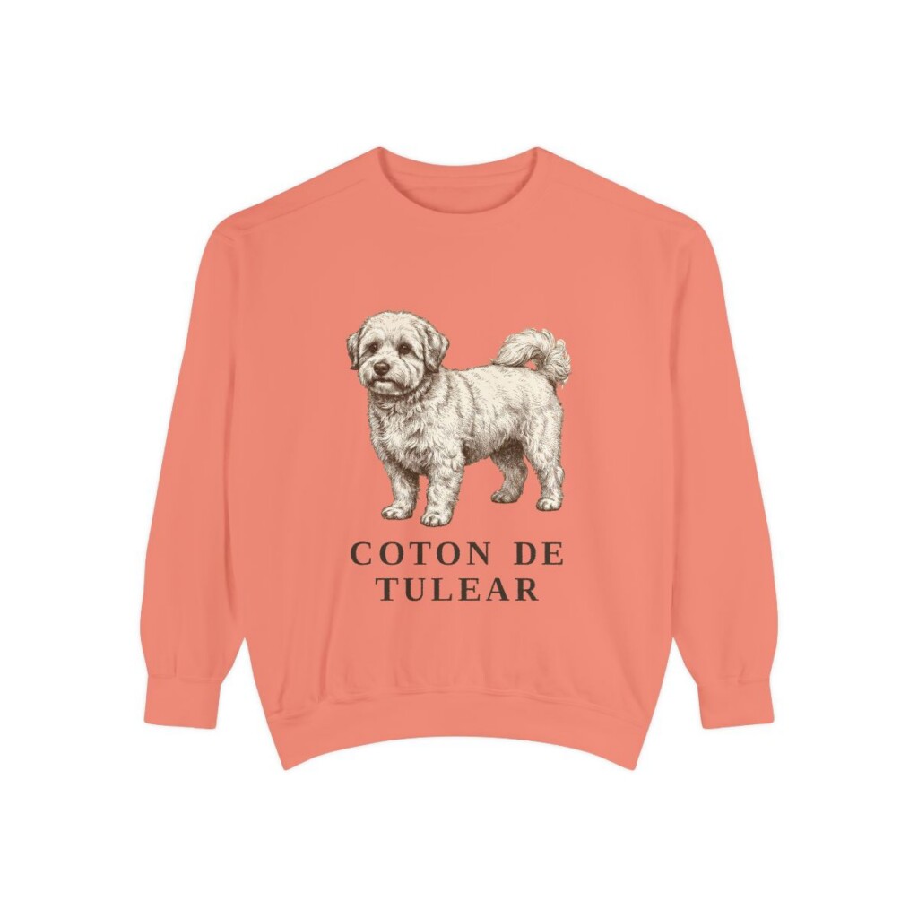 Coton de Tulear Sweatshirt, Terracotta, front view