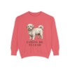 Coton de Tulear Sweatshirt, Watermelon, front view