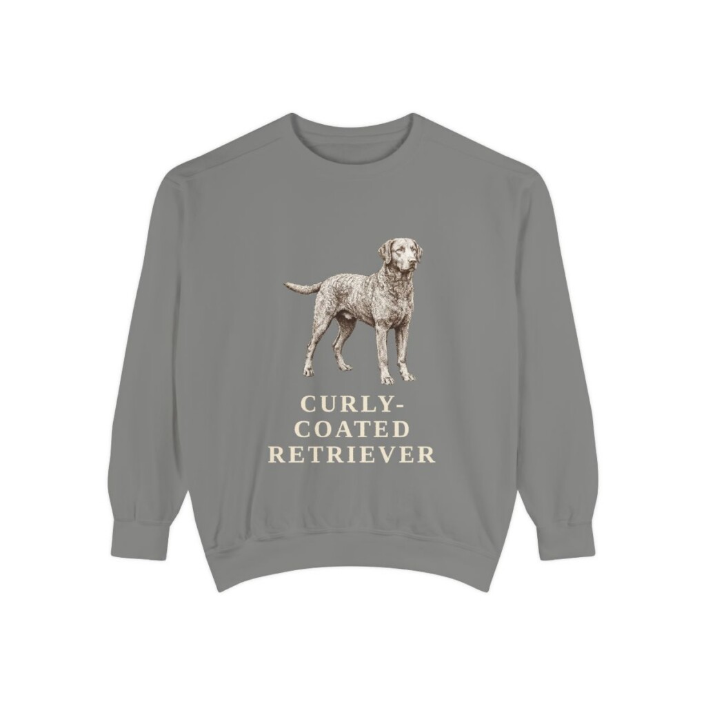 curly-coated-retriever-sweatshirt-grey Curly-Coated Retriever Sweatshirt, Grey, front view
