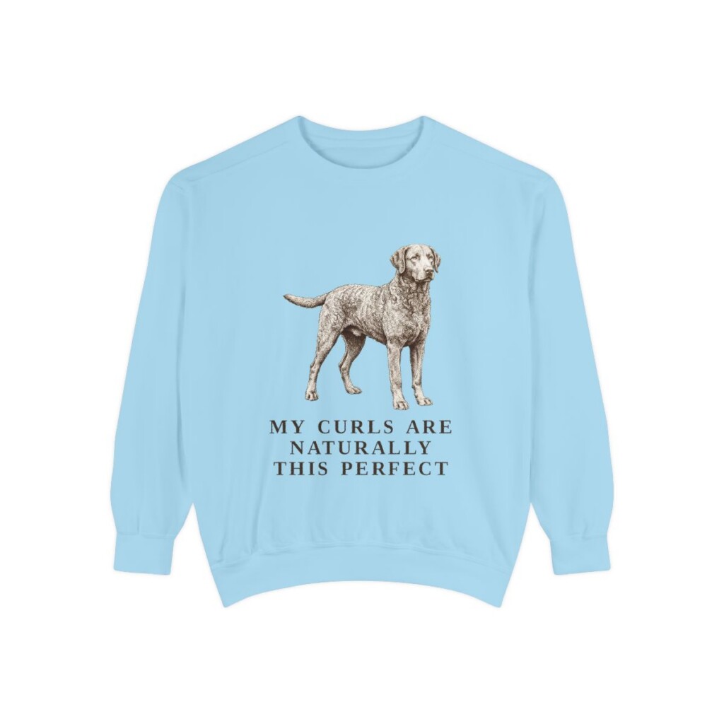 Curly-Coated Retriever Humor Sweatshirt, Chambray, front view