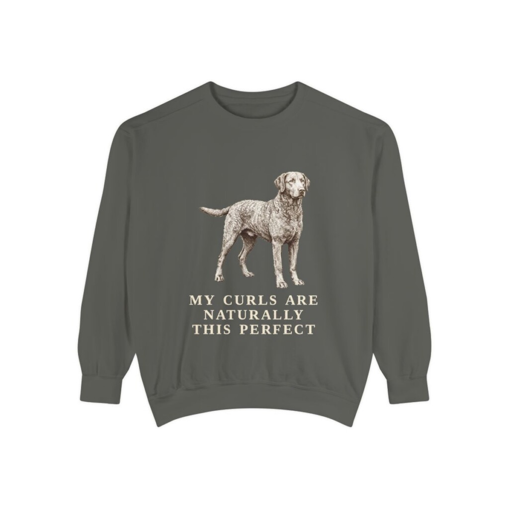 Curly-Coated Retriever Humor Sweatshirt, Pepper, front view