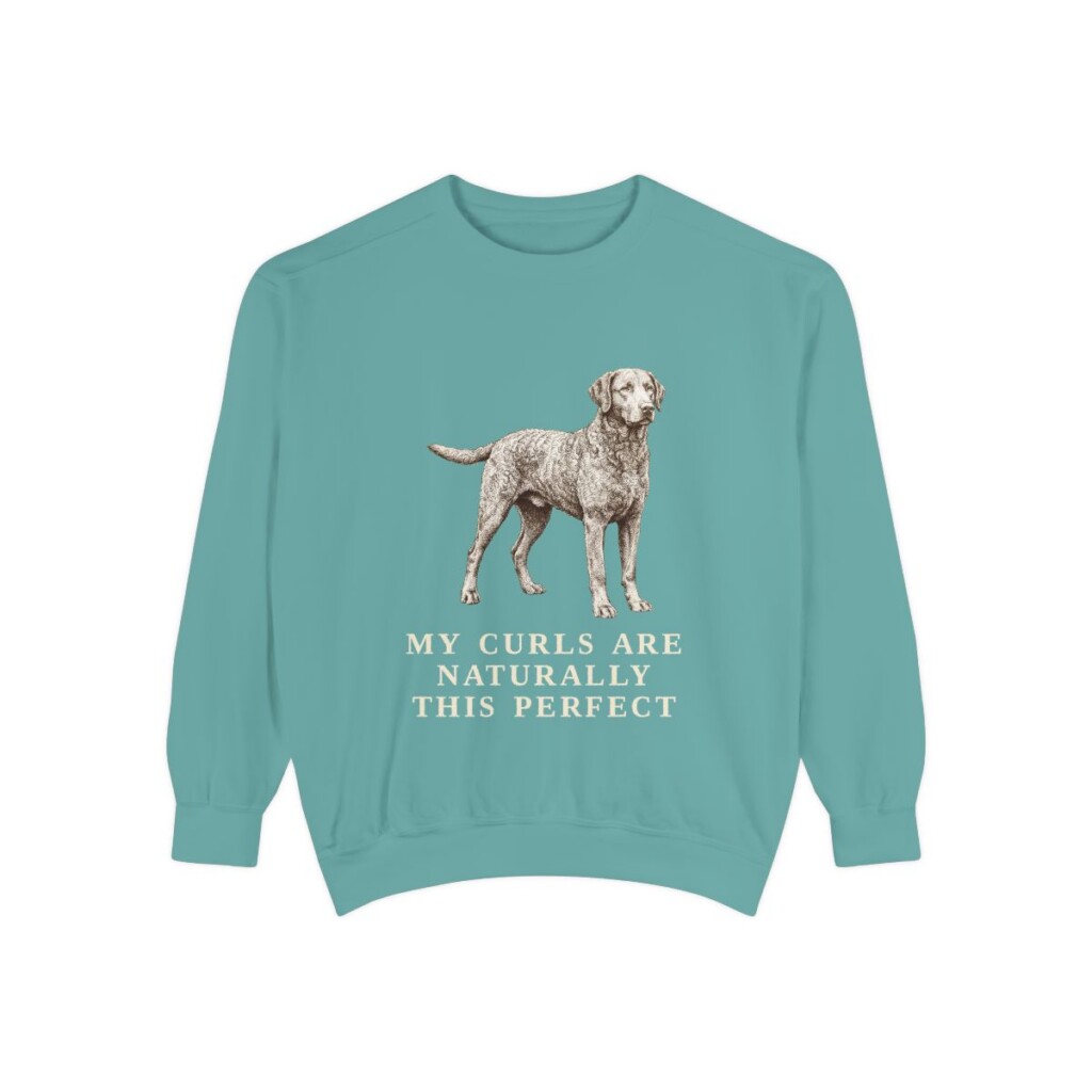 Curly-Coated Retriever Humor Sweatshirt, Seafoam, front view