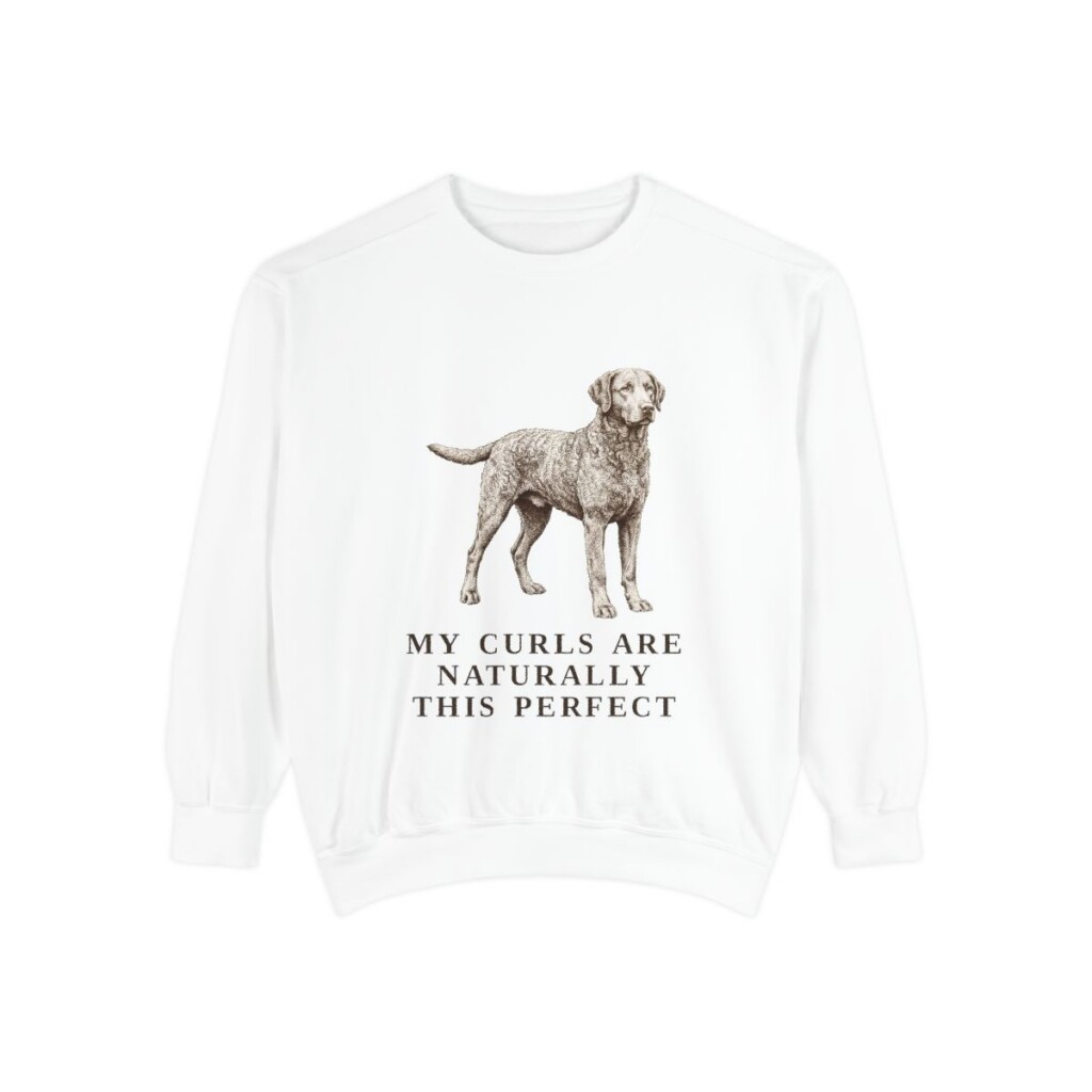 Curly-Coated Retriever Humor Sweatshirt, White, front view