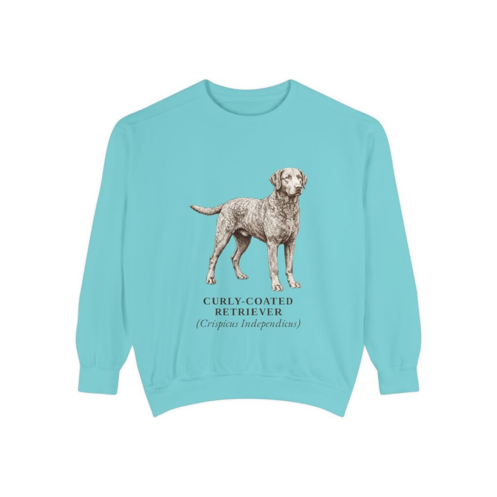 Curly-Coated Retriever Latin Sweatshirt, Chalky Mint, front view