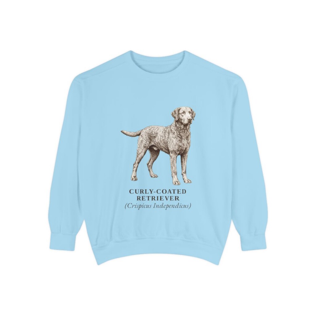 Curly-Coated Retriever Latin Sweatshirt, Chambray, front view