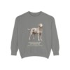Curly-Coated Retriever Latin Sweatshirt, Grey, front view