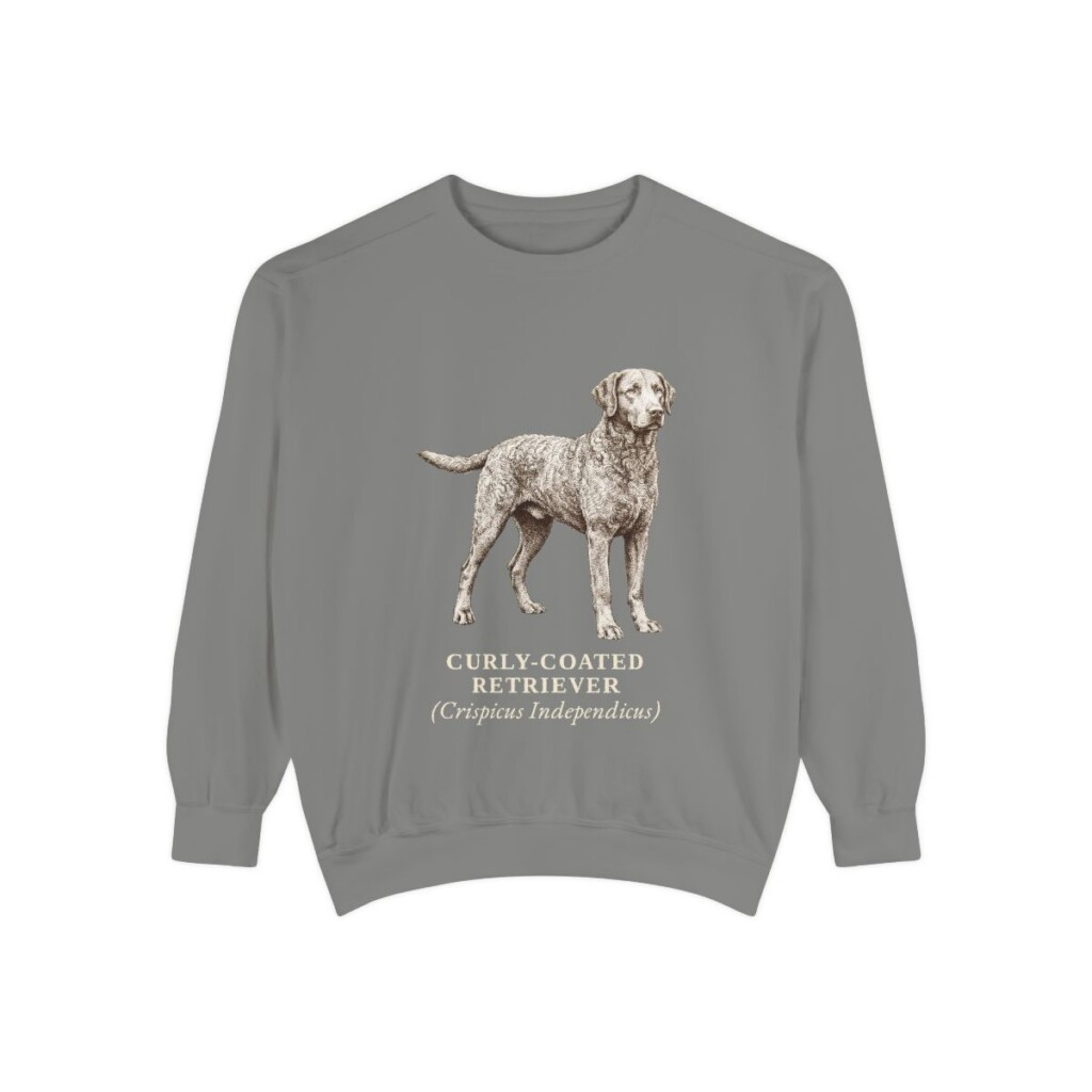 Curly-Coated Retriever Latin Sweatshirt, Grey, front view