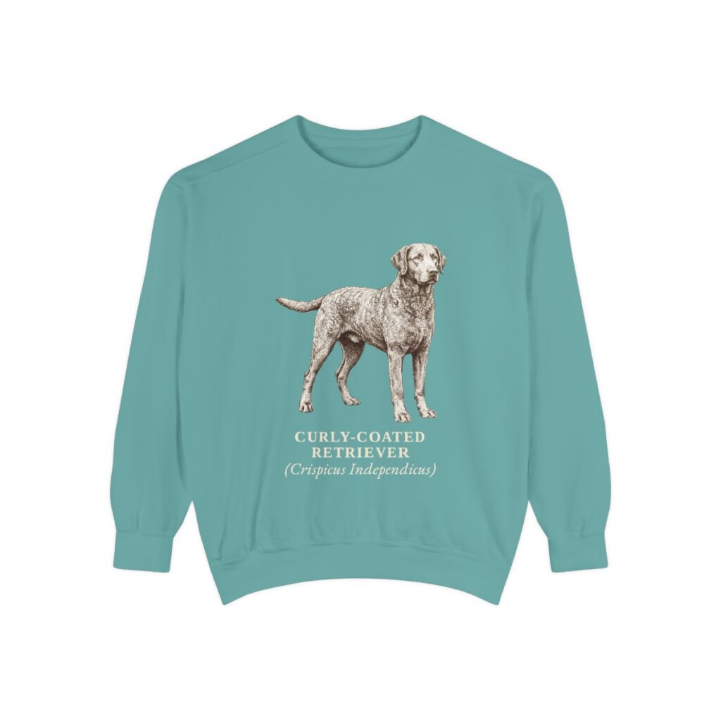 Curly-Coated Retriever Latin Sweatshirt, Seafoam, front view