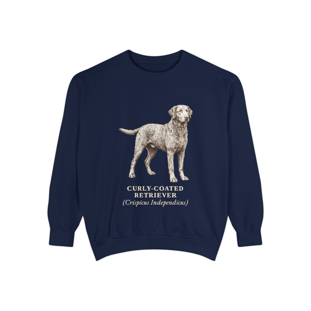 Curly-Coated Retriever Latin Sweatshirt, True Navy, front view