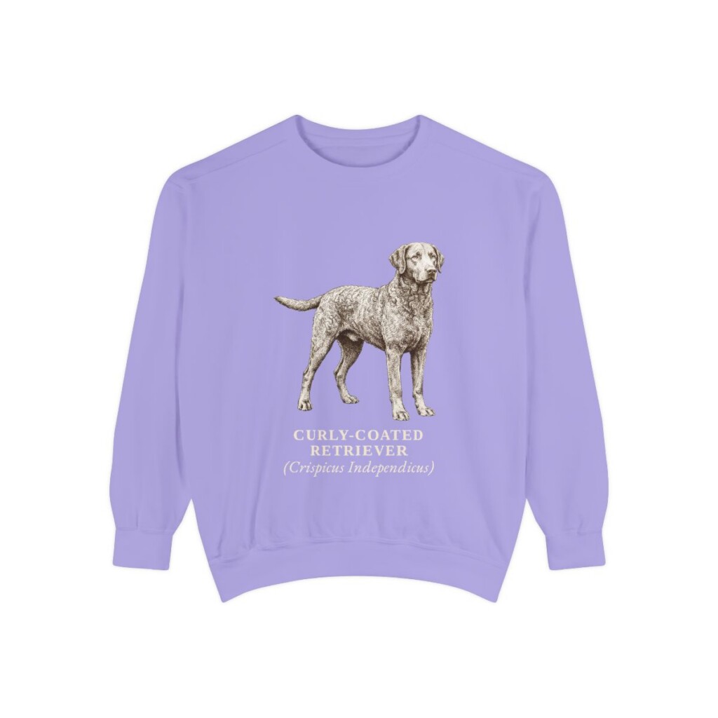 Curly-Coated Retriever Latin Sweatshirt, Violet, front view