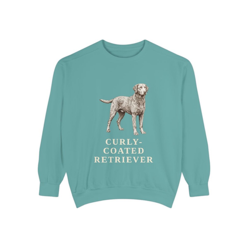 curly-coated-retriever-sweatshirt-seafoam Curly-Coated Retriever Sweatshirt, Seafoam, front view