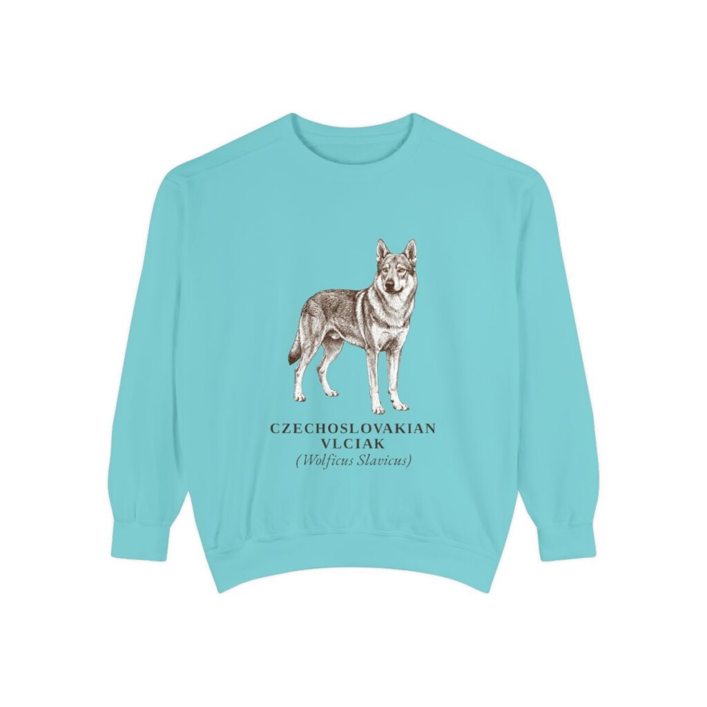 Czechoslovakian Vlciak Latin Sweatshirt, Chalky Mint, front view
