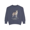 Czechoslovakian Vlciak Latin Sweatshirt, Denim, front view