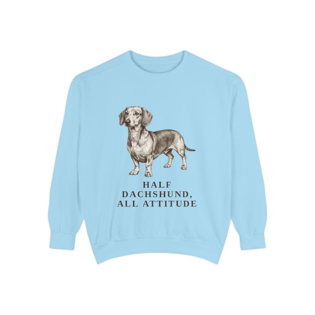 Dachshund Mix Humor Sweatshirt, Chambray, front view