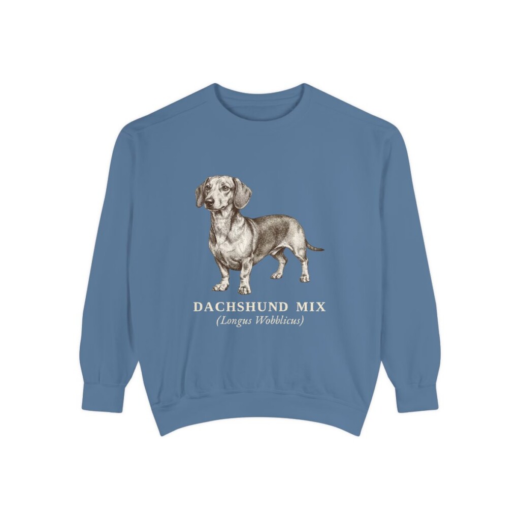 dachshund-mix-sweatshirt-latin-blue-jean-1 Dachshund Mix Latin Sweatshirt, Blue Jean, front view