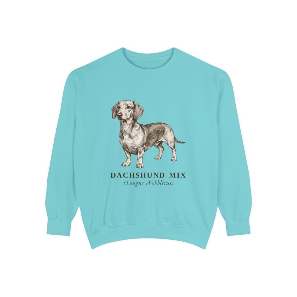 dachshund-mix-sweatshirt-latin-chalky-mint-1 Dachshund Mix Latin Sweatshirt, Chalky Mint, front view