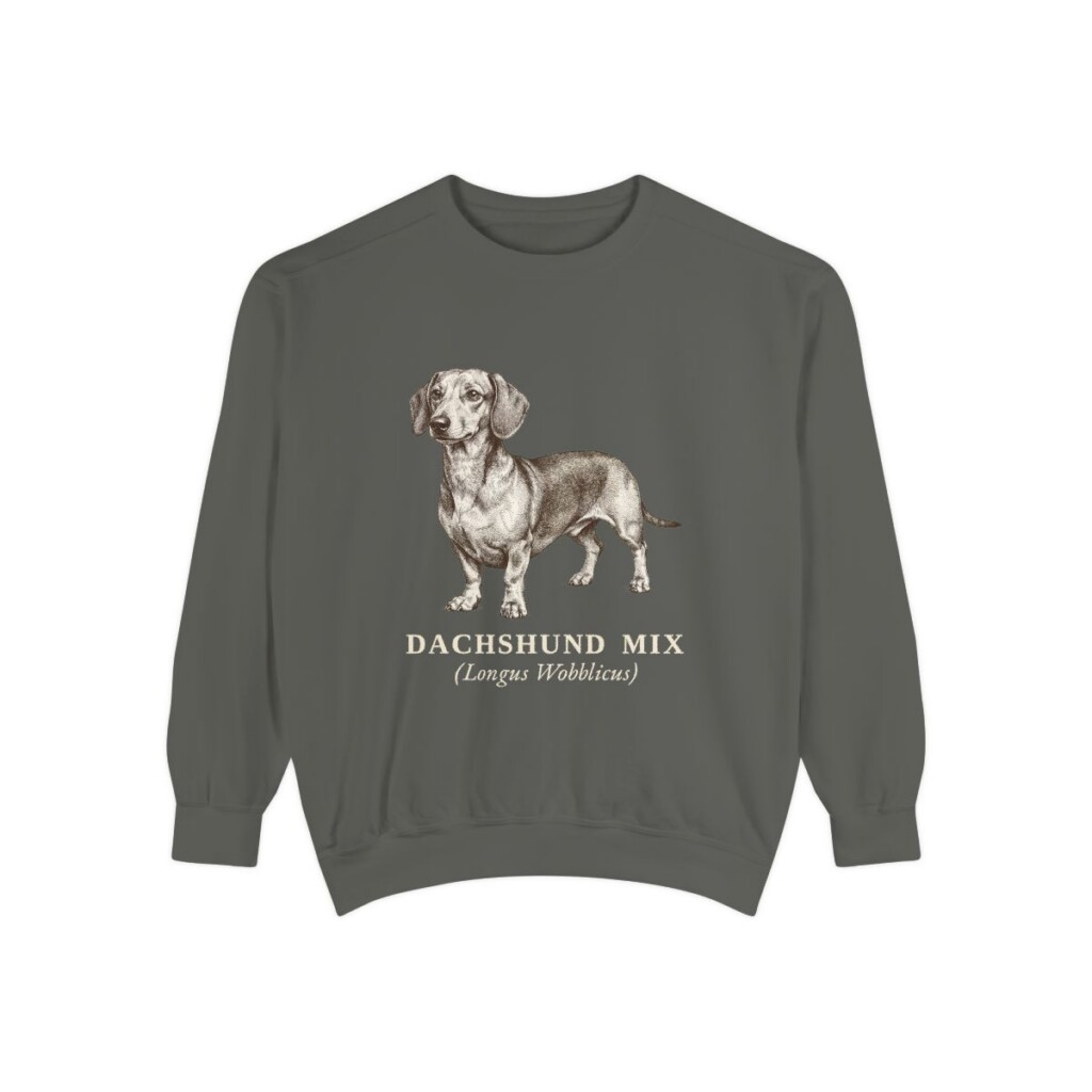 dachshund-mix-sweatshirt-latin-pepper-1 Dachshund Mix Latin Sweatshirt, Pepper, front view