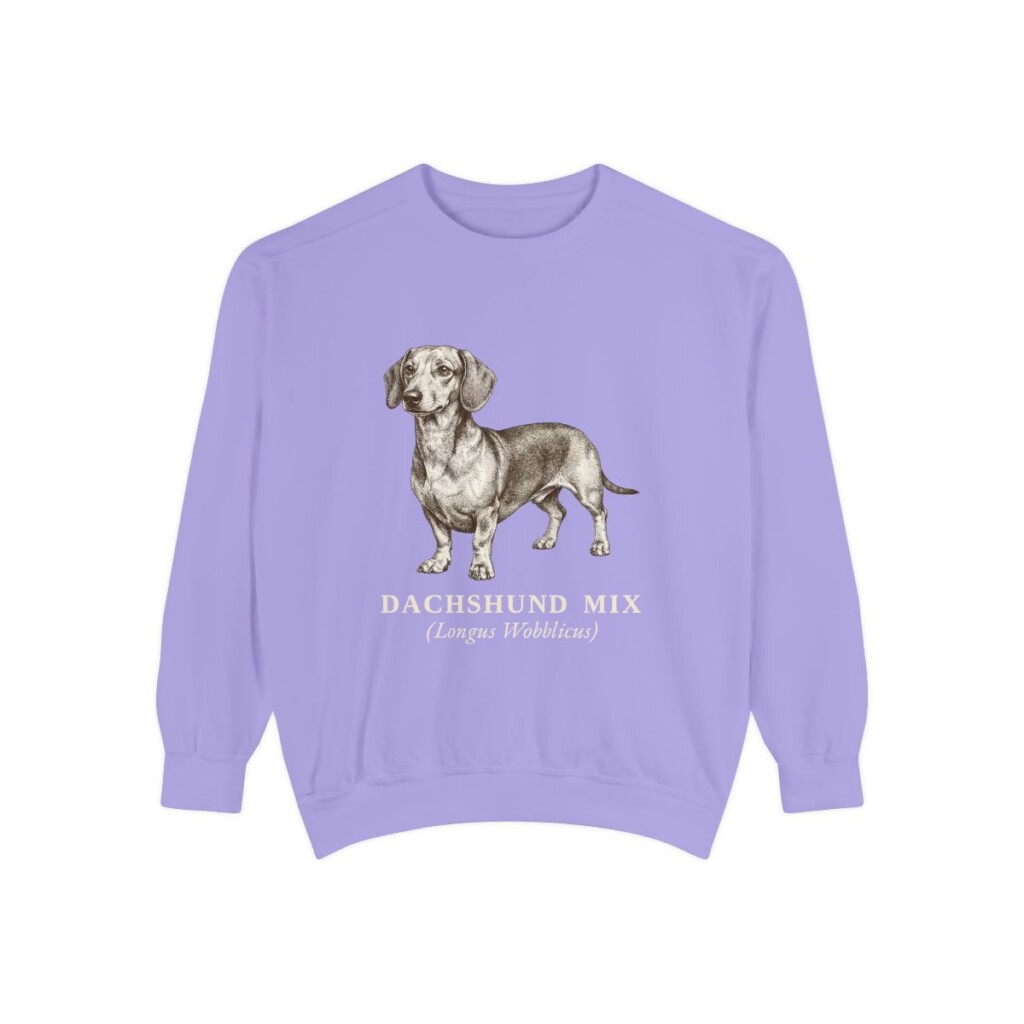 dachshund-mix-sweatshirt-latin-violet-1 Dachshund Mix Latin Sweatshirt, Violet, front view