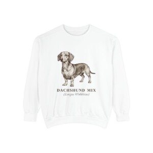 Dachshund Mix Latin Sweatshirt, White, front view