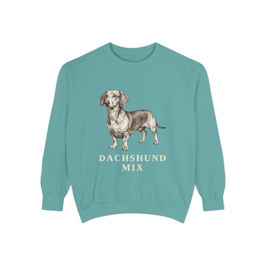 Dachshund Mix Sweatshirt, Seafoam, front view