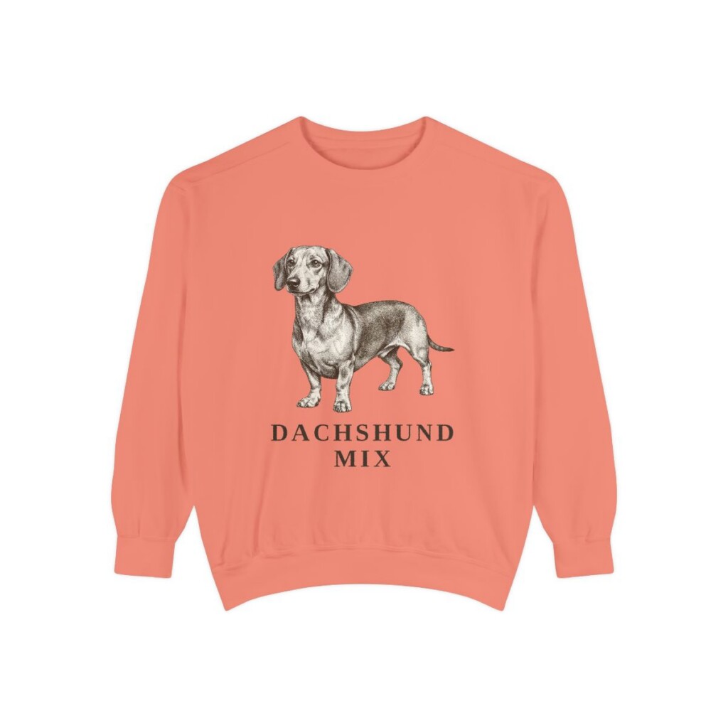 Dachshund Mix Sweatshirt, Terracotta, front view