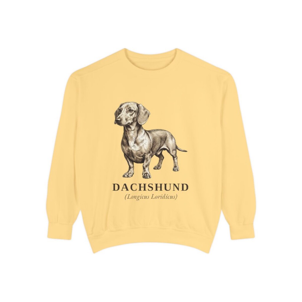 Dachshund Latin Sweatshirt, Butter, front view