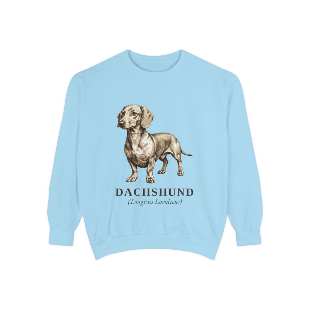 Dachshund Latin Sweatshirt, Chambray, front view