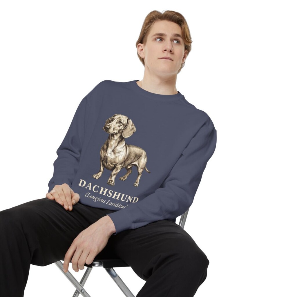 Dachshund Latin Sweatshirt, Denim, person 1 context