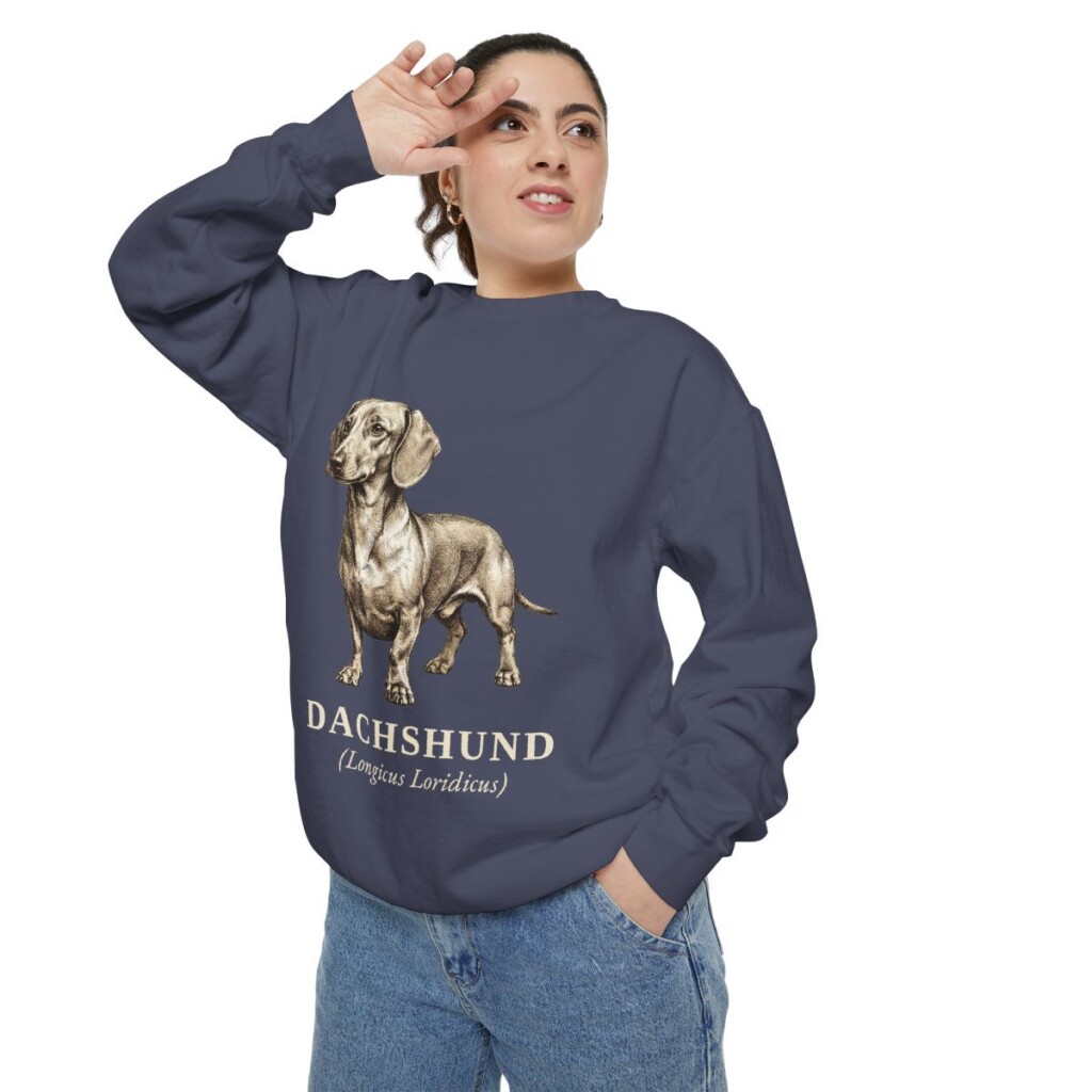 Dachshund Latin Sweatshirt, Denim, person 2 context
